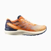 Chaussures de running pour homme Salomon  Sonic Sense 5