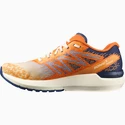 Chaussures de running pour homme Salomon  Sonic Sense 5