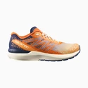 Chaussures de running pour homme Salomon  Sonic Sense 5