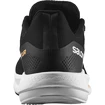 Chaussures de running pour homme Salomon  Spectur Black FW22