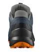 Chaussures de running pour homme Salomon Speedcross 5 GTX Mallard Blue/Wrought Iron