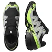 Chaussures de running pour homme Salomon Speedcross 6 Gore-Tex Black/Alloy/Green Gecko