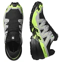 Chaussures de running pour homme Salomon Speedcross 6 Gore-Tex Black/Alloy/Green Gecko