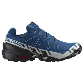 Chaussures de running pour homme Salomon Speedcross 6 Gore-Tex Poseidon/Black/Lunar Rock