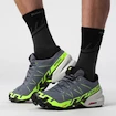 Chaussures de running pour homme Salomon SPEEDCROSS 6 GTX Flint/Grgeck/Black