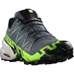 Chaussures de running pour homme Salomon Speedcross 6 Gtx Flint/Grgeck/Black
