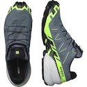 Chaussures de running pour homme Salomon SPEEDCROSS 6 GTX Flint/Grgeck/Black