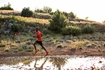 Chaussures de running pour homme Salomon Speedcross