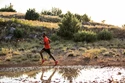 Chaussures de running pour homme Salomon Speedcross