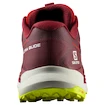 Chaussures de running pour homme Salomon Ultra Glide Biking Red/Lunar Rock