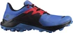 Chaussures de running pour homme Salomon  Wildcross 2 Palace Blue