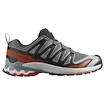 Chaussures de running pour homme Salomon Xa Pro 3D V9 Castlerock/Black/Burnt Ochre