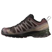 Chaussures de running pour homme Salomon Xa Pro 3D V9 Gore-Tex Black Coffee/Rum Raisin/Olive Night