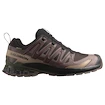 Chaussures de running pour homme Salomon Xa Pro 3D V9 Gore-Tex Black Coffee/Rum Raisin/Olive Night