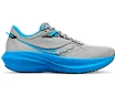 Chaussures de running pour homme Saucony  Triumph 21 Echo/Silve