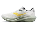 Chaussures de running pour homme Saucony  Triumph 21 Fog/Bough