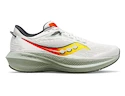 Chaussures de running pour homme Saucony  Triumph 21 Fog/Bough