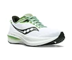 Chaussures de running pour homme Saucony Triumph 21 White/Umbra