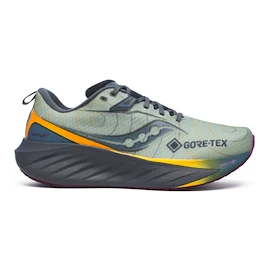 Chaussures de running pour homme Saucony Triumph 22 Gtx Sage/Carbon