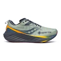 Chaussures de running pour homme Saucony  Triumph 22 Gtx Sage/Carbon  UK 9
