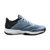 Chaussures de tennis pour homme Wilson Kaos Stroke 2.0 Blue