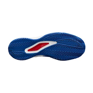 Chaussures de tennis pour homme Wilson Rush Pro ACE Clay Deja Vu Blue  EUR 43 1/3