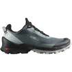 Chaussures pour femme Salomon  Cross Over GTX W Stormy Weather
