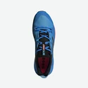 Chaussures pour homme adidas  Terrex Skychaser 2 GTX Blue
