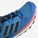 Chaussures pour homme Adidas  Terrex Skychaser 2 GTX Blue