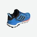 Chaussures pour homme Adidas  Terrex Skychaser 2 GTX Blue