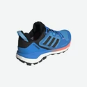 Chaussures pour homme adidas  Terrex Skychaser 2 GTX Blue