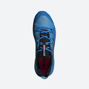 Chaussures pour homme adidas  Terrex Skychaser 2 GTX Blue