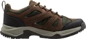 Chaussures pour homme Helly Hansen  Switchback Trail Low HT Bushwacker/Forest Night