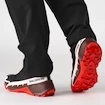 Chaussures pour homme Salomon  Cross Hike GTX 2