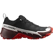 Chaussures pour homme Salomon  Cross Hike GTX 2