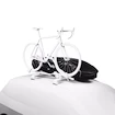 Coffre de toit Thule Motion 3 Sport Black