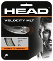 Cordage de tennis Head  Velocity (12 m)