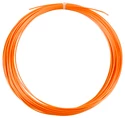 Cordage de tennis Signum Pro  Poly Plasma (12m)