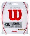 Cordage de tennis Wilson  NXT Power