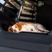 Coussin pour la caisse de transport Thule Dog mat standard