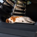 Coussin pour la caisse de transport Thule Dog mat standard