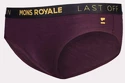 Culotte Mons Royale  FOLO Brief