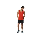 Débardeur pour homme Mizuno  DryAeroFlow Tank Grenadine