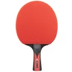 Ensemble de tennis de table Joola  Duo Carbon