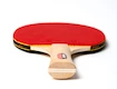 Ensemble de tennis de table Joola Family