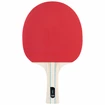 Ensemble de tennis de table Stiga  Sassy