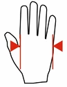 Gants de fitness MadMax  Short fingers GWC001
