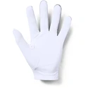Gants pour homme Under Armour  Medal Golf Glove grey LLG