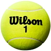 Grosse balle de tennis Wilson