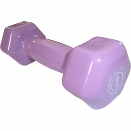 Haltère à un bras Power System Vinyl Dumbell 2 Kg Purple